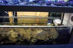 Killikus&reg; Fotographie